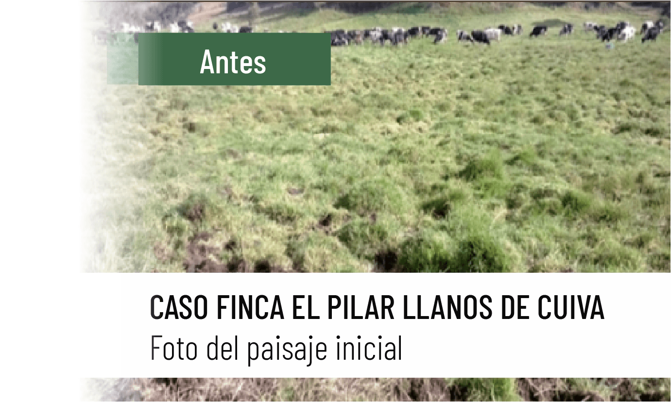Caso el pilar antes