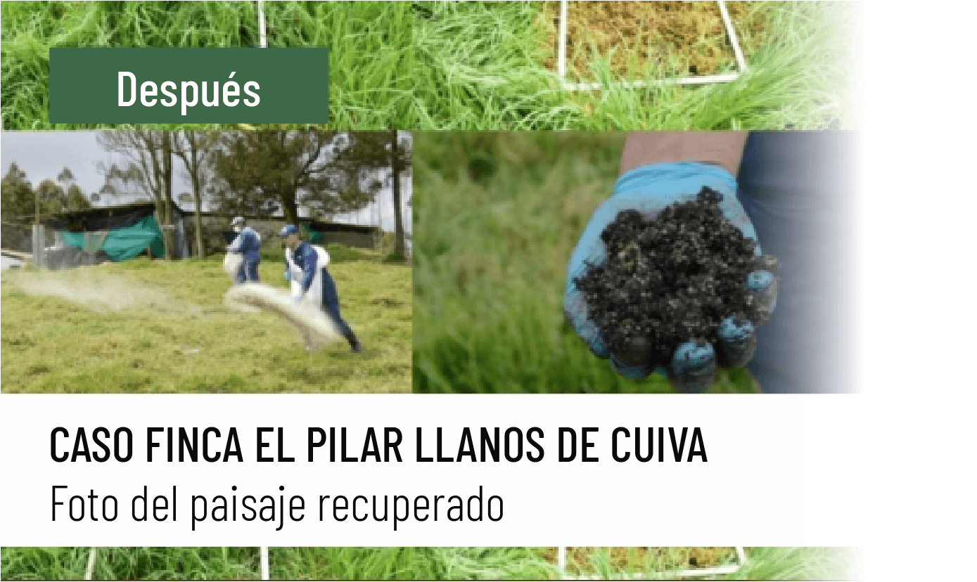 Caso el pilar despues