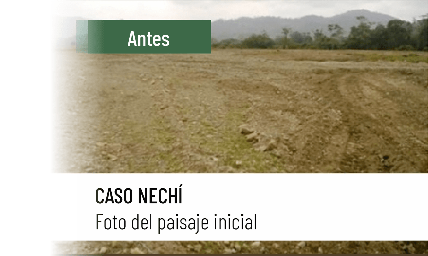 Caso nechi antes_1