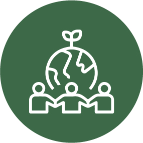 Reforestación