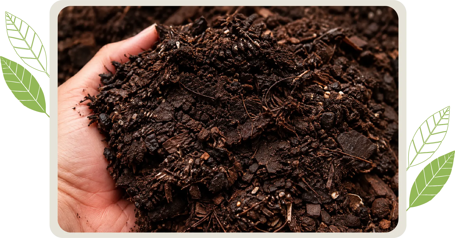 Mano sosteniendo Biorgánicos Compost